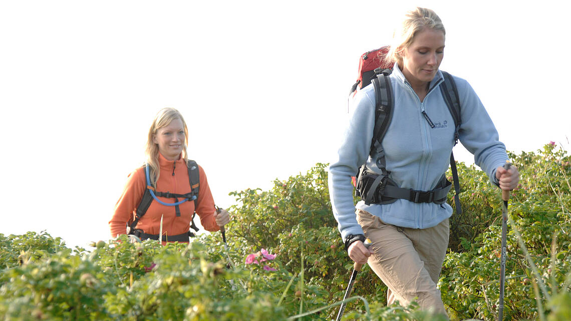 Zwei Personen wandern durch die Dünen